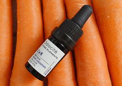 Концентрат ODACITE Vital Glow Serum Concentrate Wild Carrot, 5 мл
