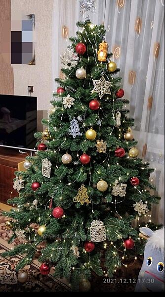 Великий вибір ялинок. Багато відео та фото Якість