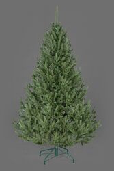 #4: Віденська