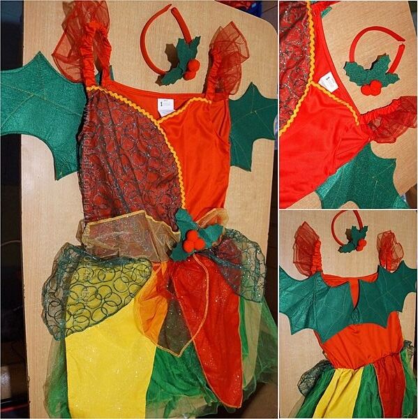 Новорічний карнавальний костюм Омели 13-16 років