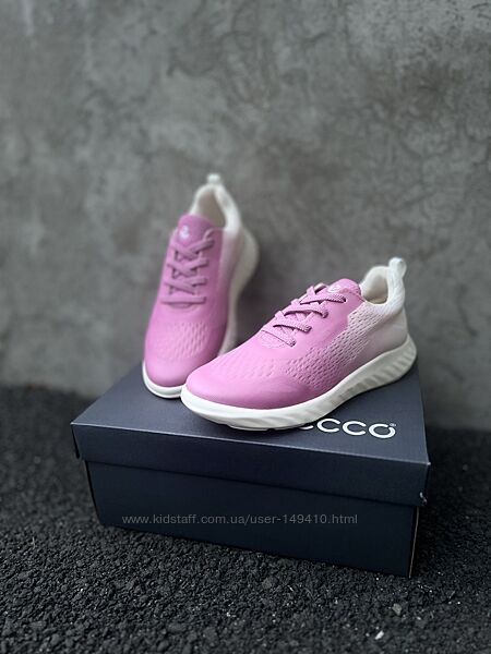 Кросівки Ecco sp1 Lite K. Оригінал.