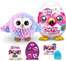 Інтерактивна Pets Alive Chirpy Birds Owl Веселі пташки, сова, совушка, яйце