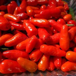 #8: chilito de simojovel