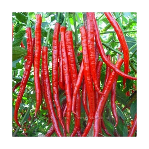 Насіння гострого, декоративного, кімнатного перцю. Сорти