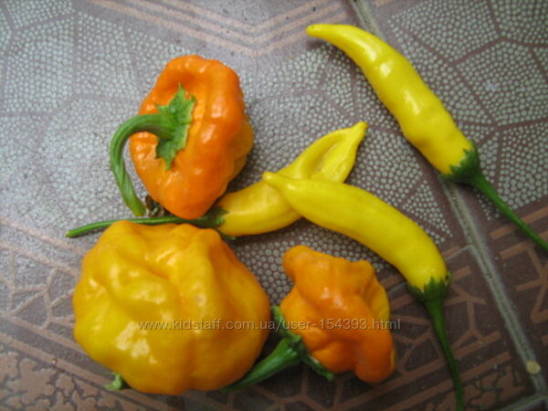 Насіння перцю  гіркого частина 3