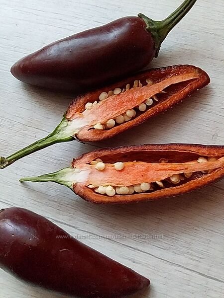 Насіння перцю Халапеньо 