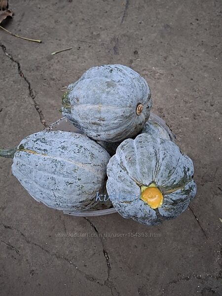 Насіння гарбузів різні сорти