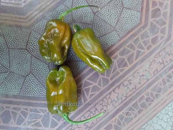 #4: Habanero green