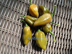 #9: FATALII green