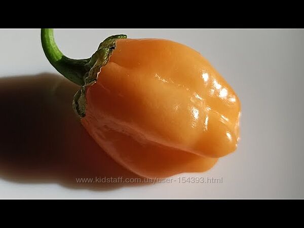 #10: Wartryx Peach Gum