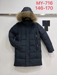 #3: Новая модель