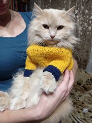 Одяг для тварин  Собака і кішка. Светр. Комбенізон 