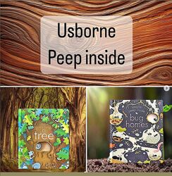 Usborne Peep inside, книжка з віконцями, дитячі книги англійською
