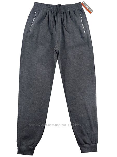 Штани зимові спортивні чоловічі утеплені під манжет 48,50