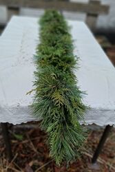 Гірлянда з живої хвої 