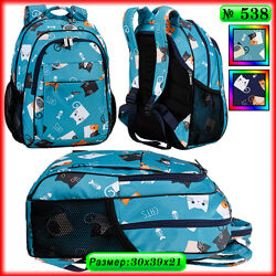 Школьный рюкзак Dolly 538