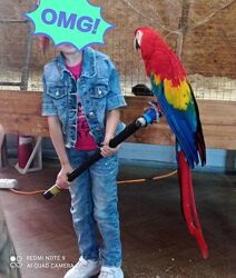 Джинсовый костюм девочке