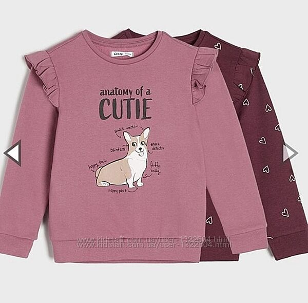 Коргі собака кардиган 134 Sinsay 