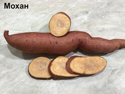 #10
