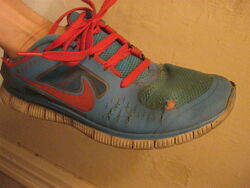 Nike Mens Free Run 3 Blue Running Shoes Sneakers