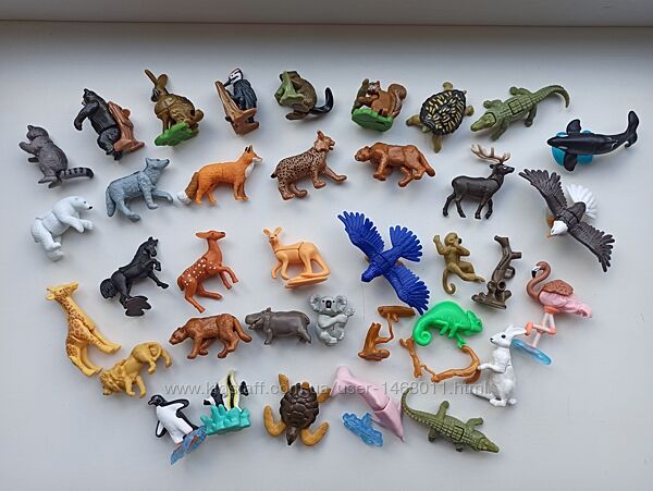 Тварини Північної Америки 2021, Улюблені тварини 2022, Кіндер Натунс