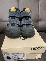 Черевики Ecco