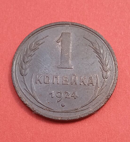 Монета 1 копейка 1924 года.