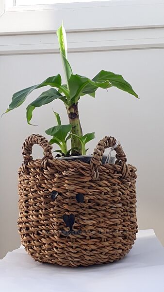 Новинка кашпо кошик плетенний вазон Sinsay підставка під рослини