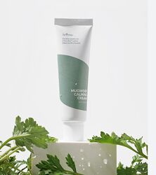 Заспокійливий крем для обличчя Isntree - Mugwort Calming Cream