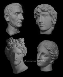 Академические гипсовые головы и модели Венера, Аполлон, Август и др.