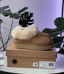 Зимові жіночі уггі Ugg Coquette Platform 36-41