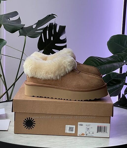 Зимові жіночі уггі Ugg Coquette Platform 36-41