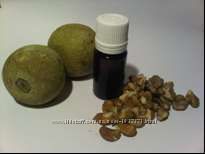 Масло черного ореха - Black walnut seed oil