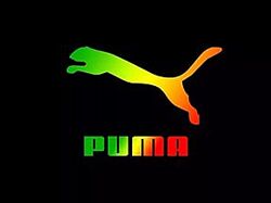 Покупки с сайта Puma