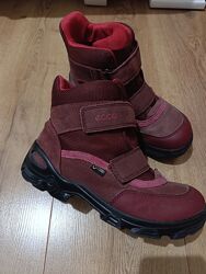 Зимові чобітки Ecco Gore-tex 36 р 23 см