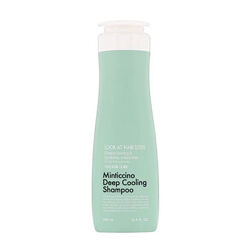 Daeng Gi Meo Ri Look At Hair Loss Minticcino Deep Cooling Shampoo шампунь 
