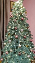 Ялинка лита ЕЛІТ - блакитна та зелена ТМ Смерека