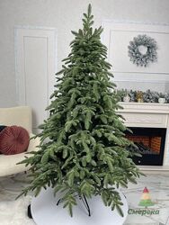 Ялинка лита Бельгійська Україна, ТМ Смерека 