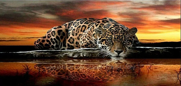 Алмазная вышивка Леопард отдыхает  полная выкладка мозаика 5d 90х45 см