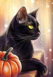 Алмазная вышивка Черный кот, кошка, радужный, полная выкладка , мозаика 5d, наборы 30х40 см