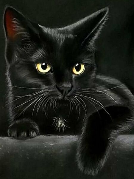 Набор алмазной мозаики вышивки Взгляд желтоглазого кота черный кошка полная выкладка 5d наборы 30х40 см