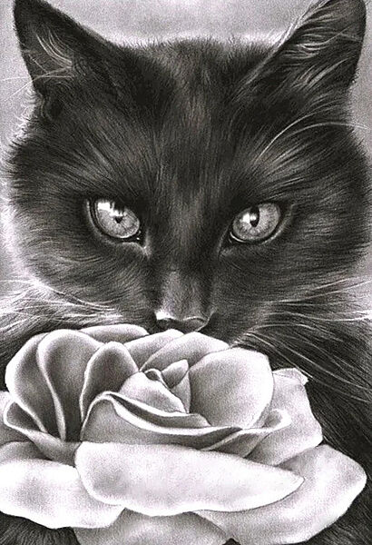 Набор алмазной мозаики вышивки  Черный кот, кошка, радужный черный полная выкладка 5d наборы 30х40 см