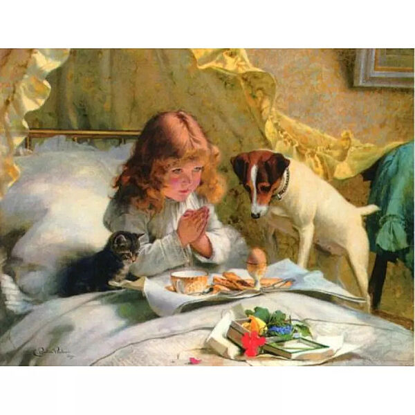 Набор алмазной вышивки  Девушка с собакой  на подрамнике полная выкладка мозаика 5d 30х40 см