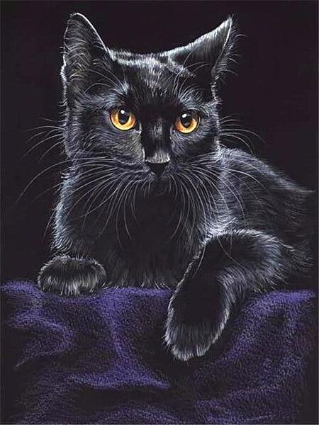 Набор алмазной мозаики вышивки Кот отдыхает на диване черный кошка полная выкладка 5d наборы 30х40 см