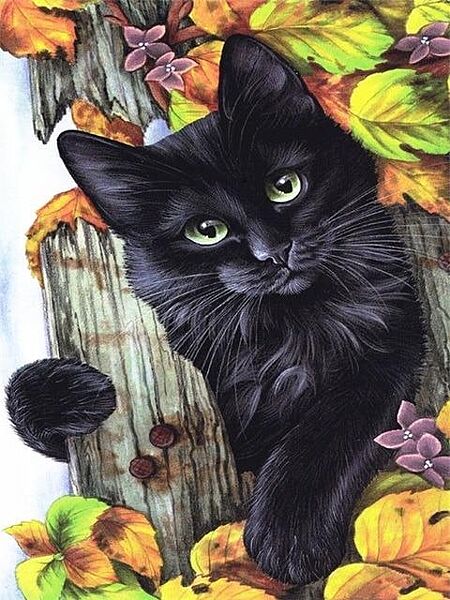 Набор алмазной мозаики вышивки Кошка в цветах кошка черный радужный полная выкладка 5d наборы 30х40 см