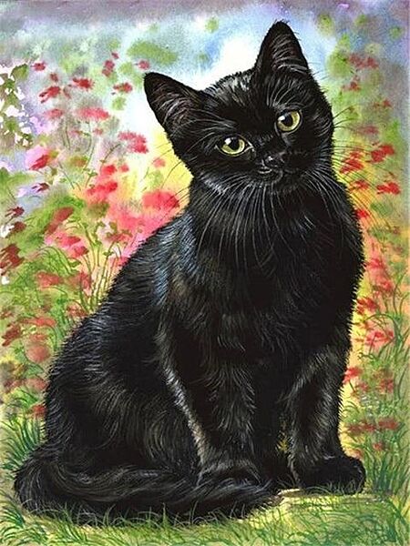 Набор алмазной мозаики вышивки Кошка в цветах кошка черный радужный полная выкладка 5d наборы 30х40 см