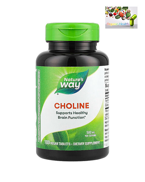 Nature&acutes Way, Холин, 500 мг