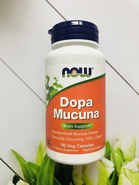 Now Foods, Dopa Mucuna , Препараты для памяти и когнитивных функций