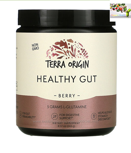 Terra Origin, Healthy Gut, для здоровья кишечника, ягода ,243 гр 