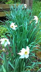 #8: Поэтические 3грн